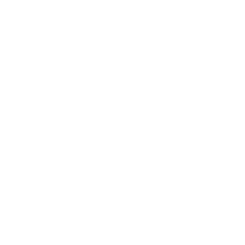 LEXI Logo